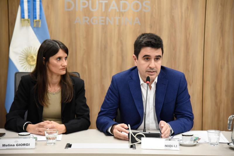 Tarifazos: Cooperativas eléctricas de todo el país expresaron su preocupación en el Congreso